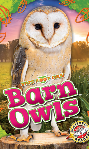 Barn owls book cover